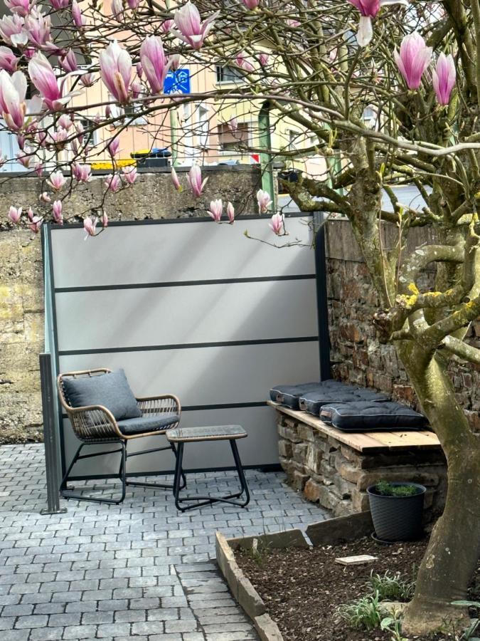 Ferienwohnung Sonnenseite Cochem Dış mekan fotoğraf